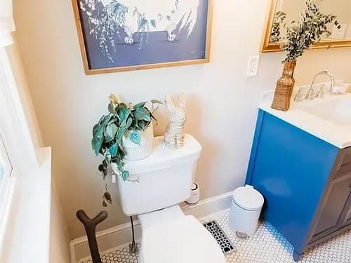 Modern bathroom featuring a toilet, potted plant, and stylish blue vanity with a decorative mirror.