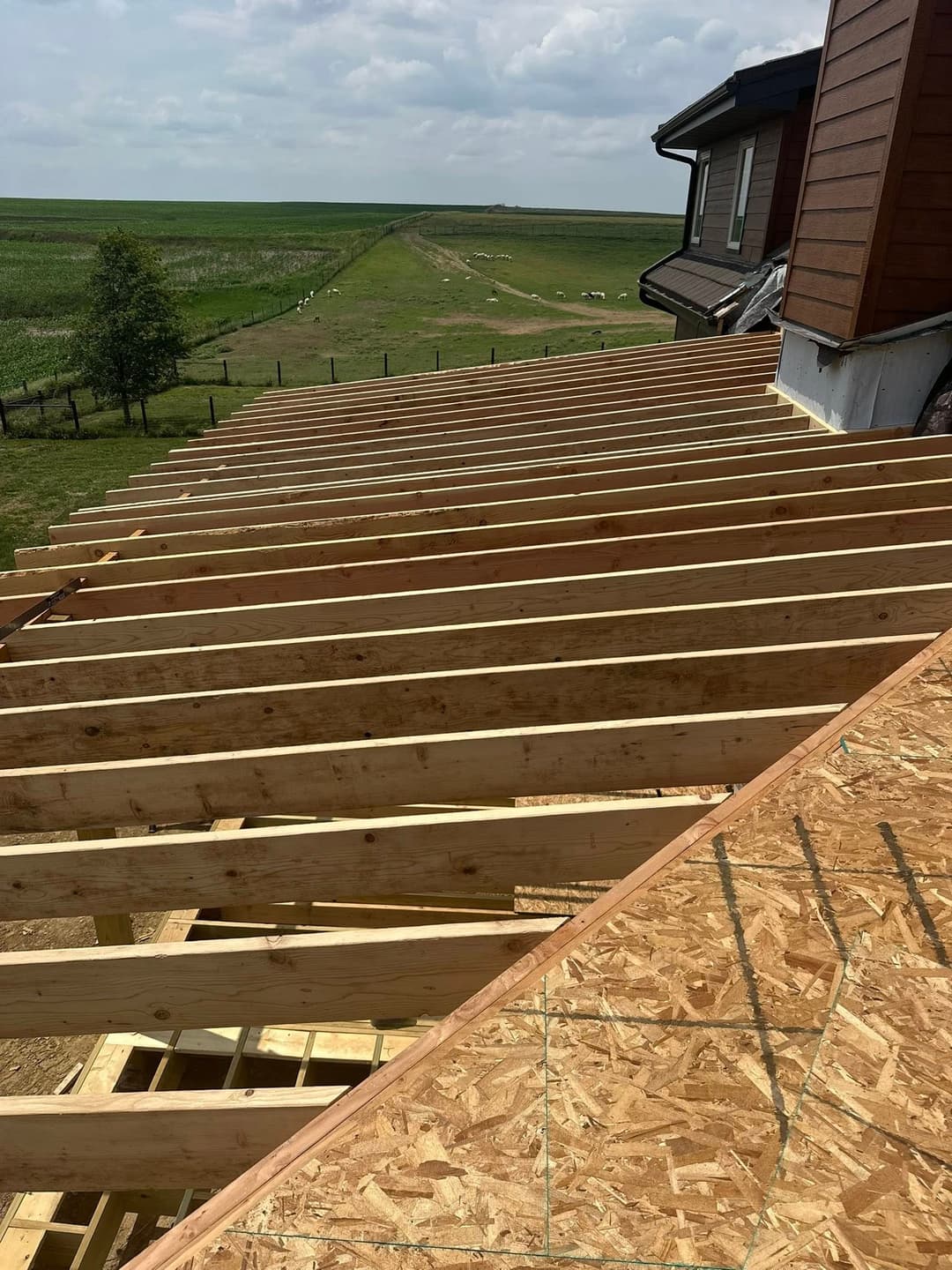 Newly constructed wooden roof frame overlooking a lush green landscape.
