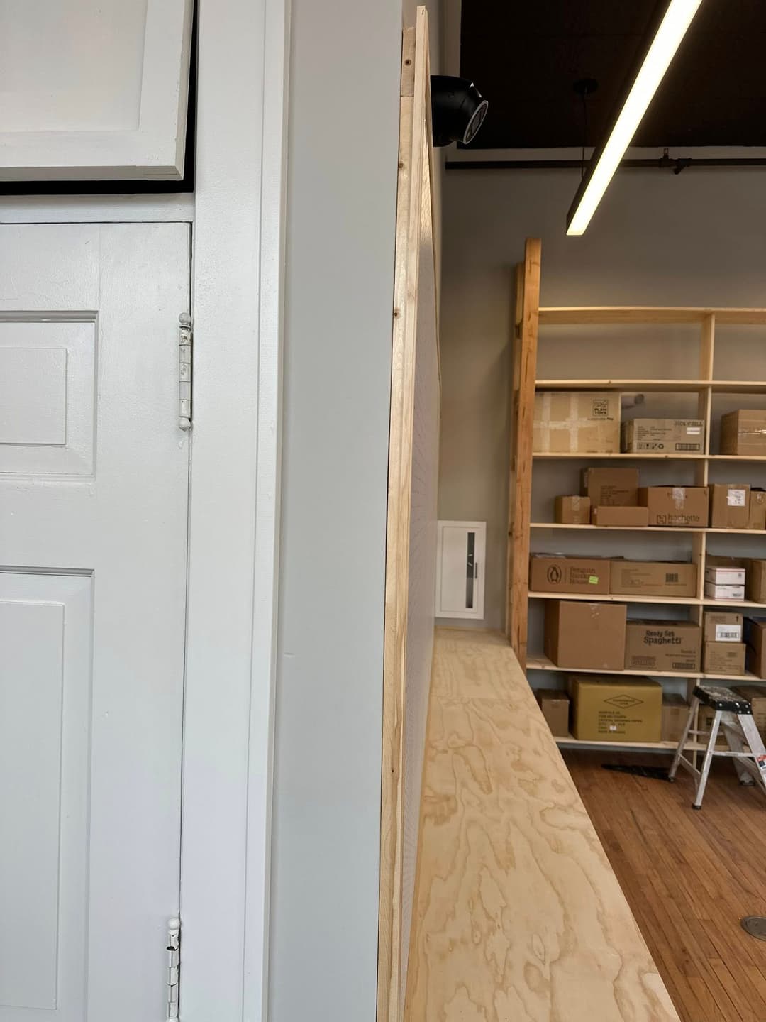 Interior view of shelving unit beside a white door in an organized storage space.