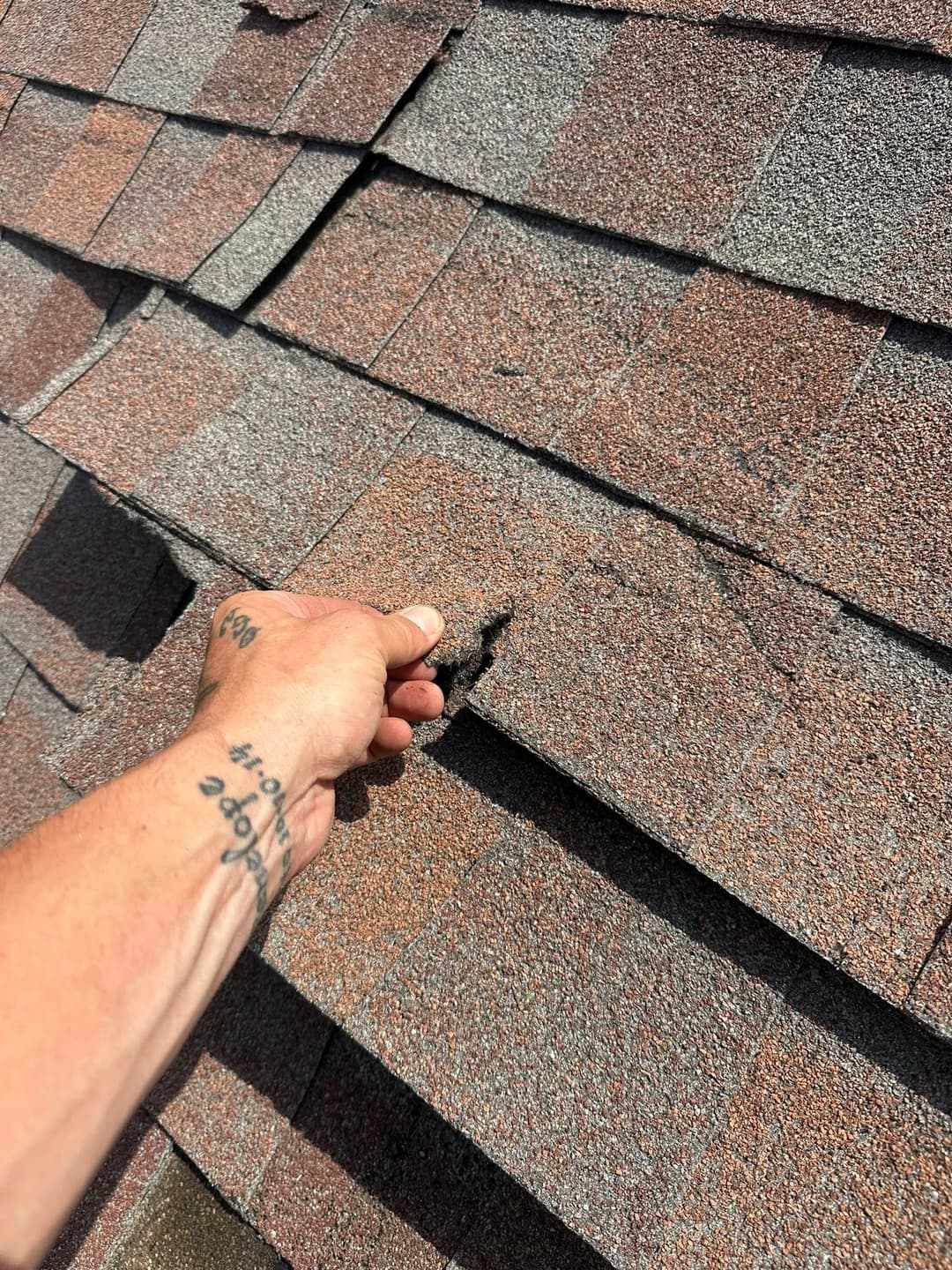 Hand inspecting damaged roof shingles with visible cracks and wear.