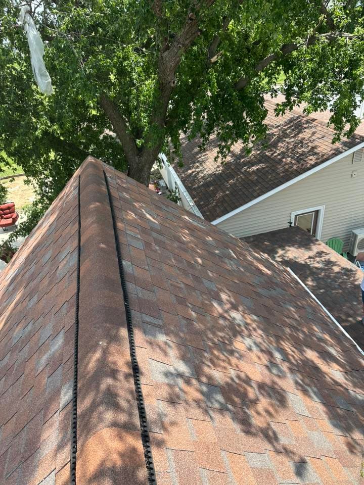 Aerial view of a shingled roof and tree canopy in a residential neighborhood.
