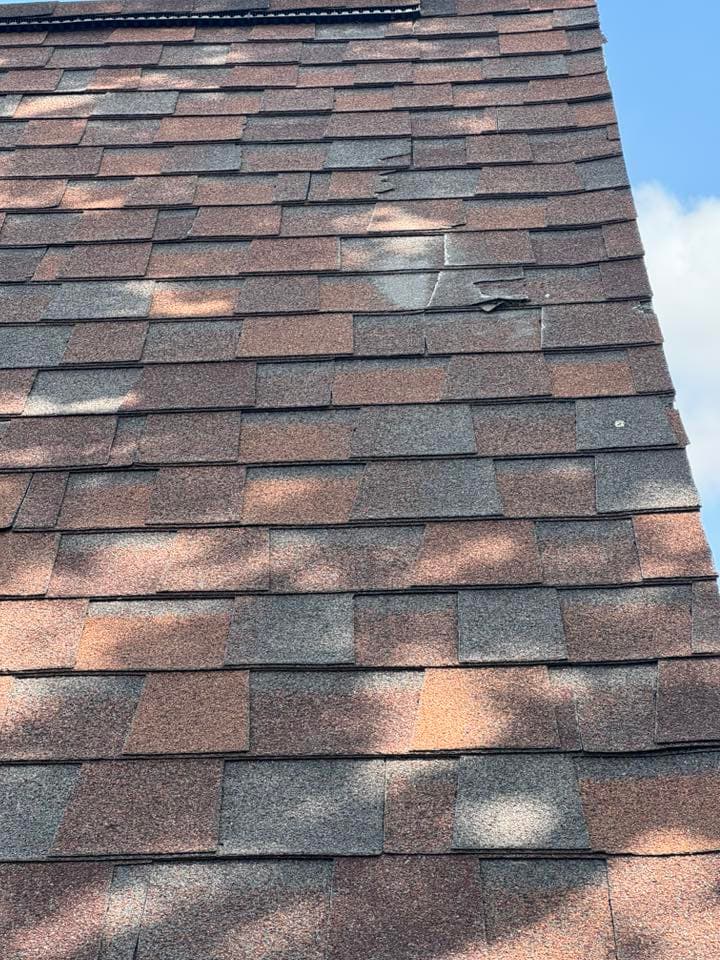 Close-up of a textured roof showing shingles with wear and sunlight shadows.