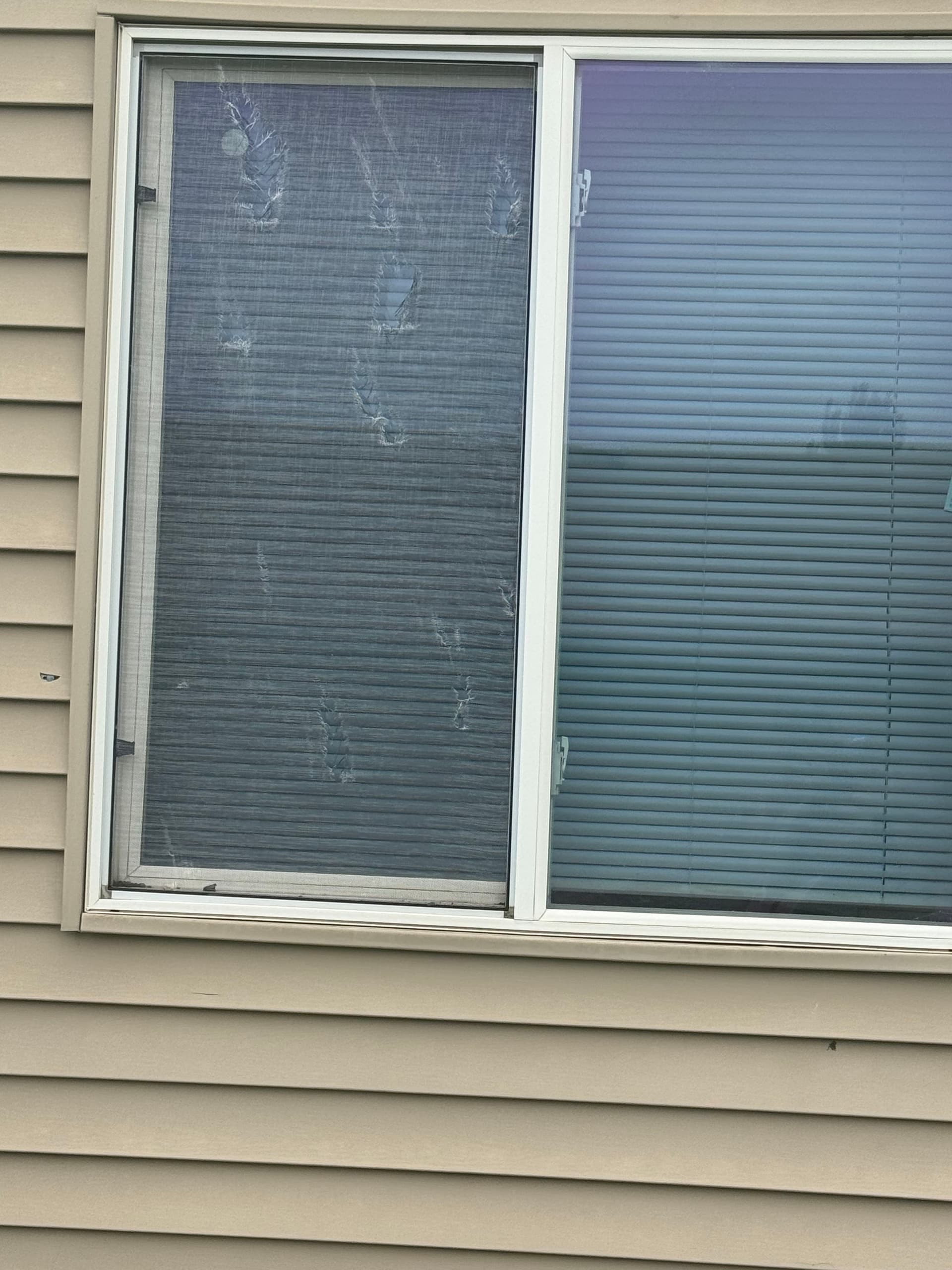 Storm Damage Inspection in Villisca - What We Found
